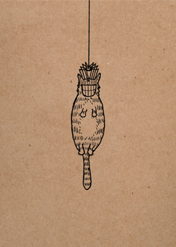 spider-cat card